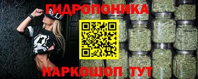 apvp Можга