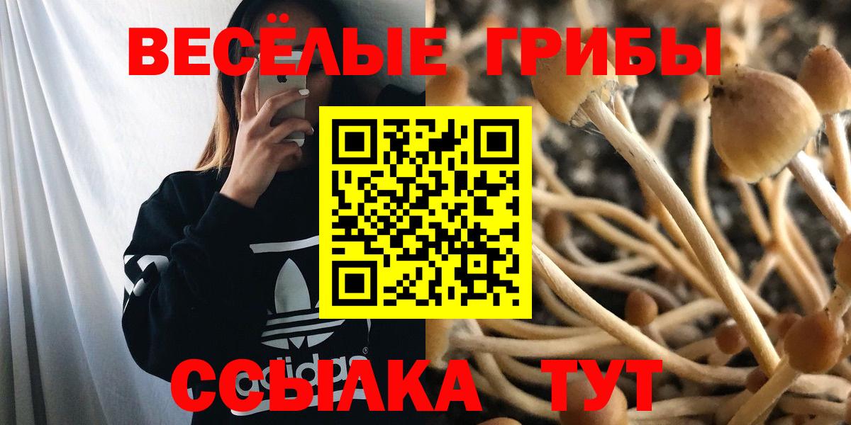 Галлюциногенные грибы мухоморы  Вход с VPN  Псилоцибиновые грибы Magic Shrooms  Чусовой 