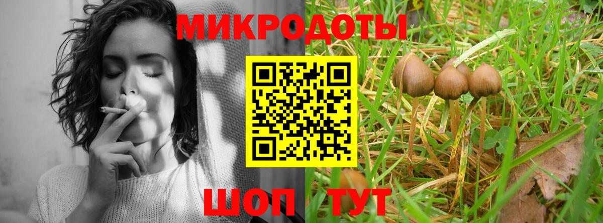 Галлюциногенные грибы Psilocybe Чусовой